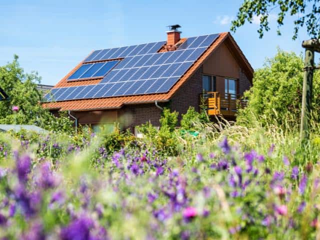 Mooie natuur met op de achtergrond veel zonnepanelen